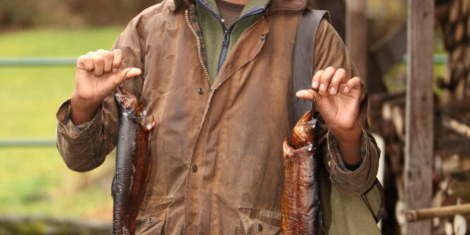 404574a14012b6f03_cfcbe306f2b720df090ff508fc1074d8