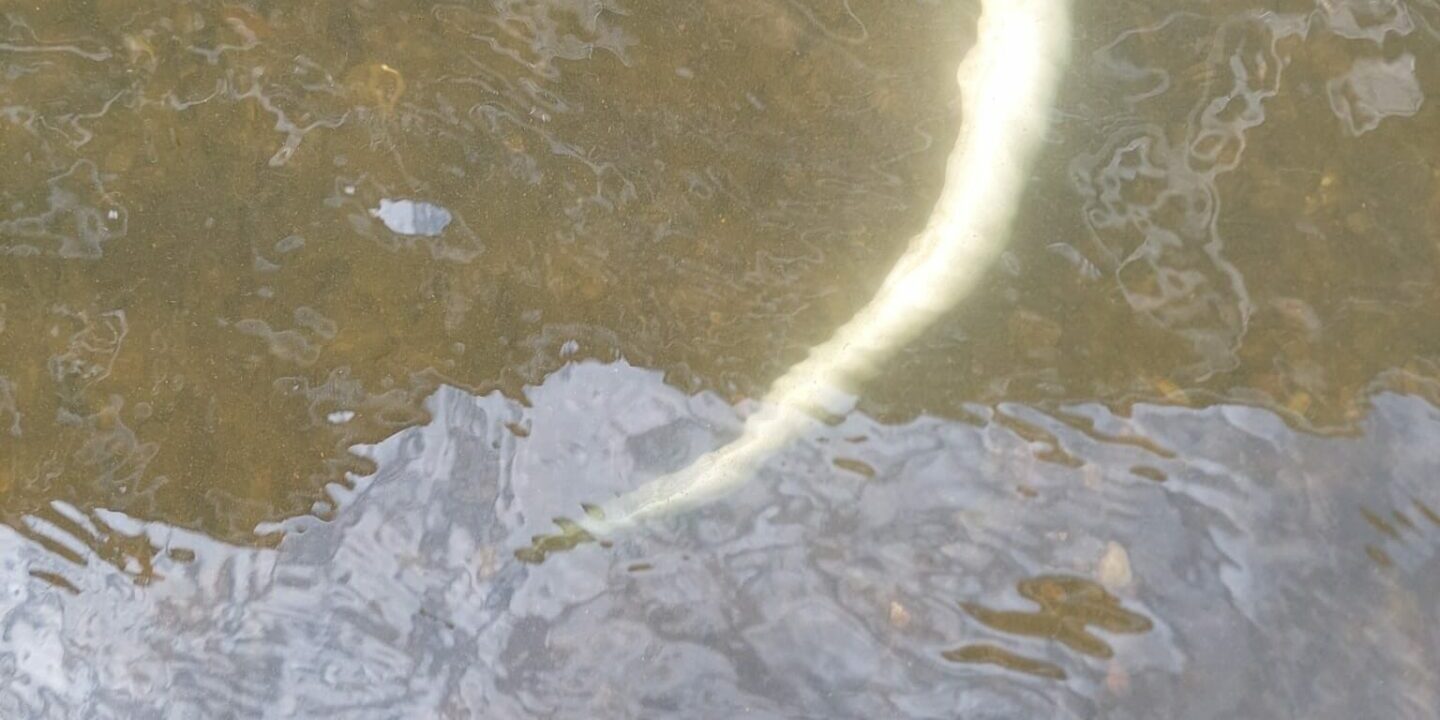 ada6be05-f557-40b7-a769-03bcd6e98a3c